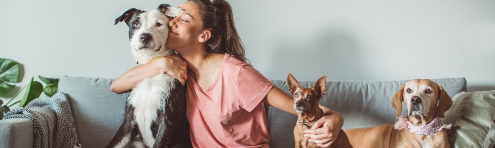 Svenskar söker veterinärvård utomlands